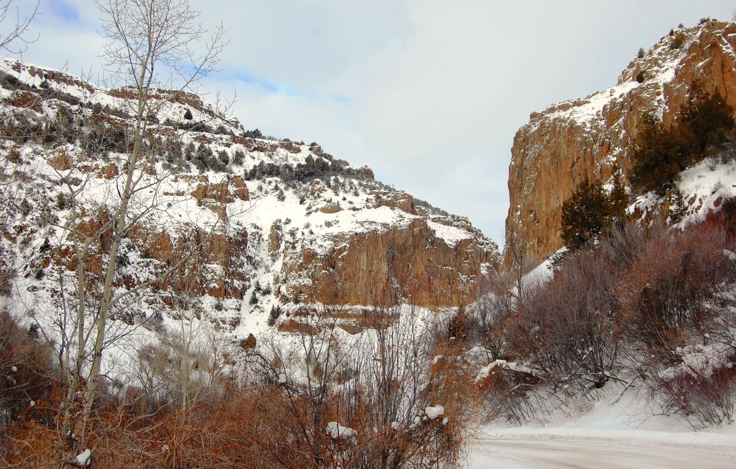 Snowy scene